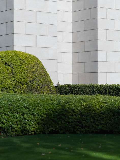 Patios: Your Outdoor Retreat