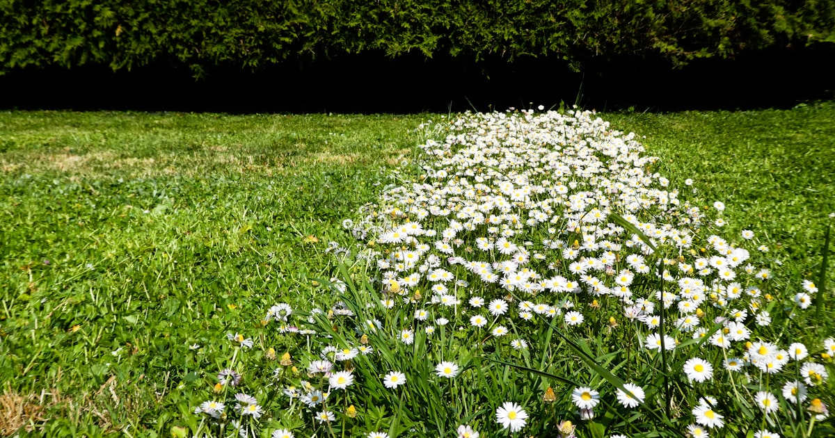 Get Your Free Landscaping Estimate