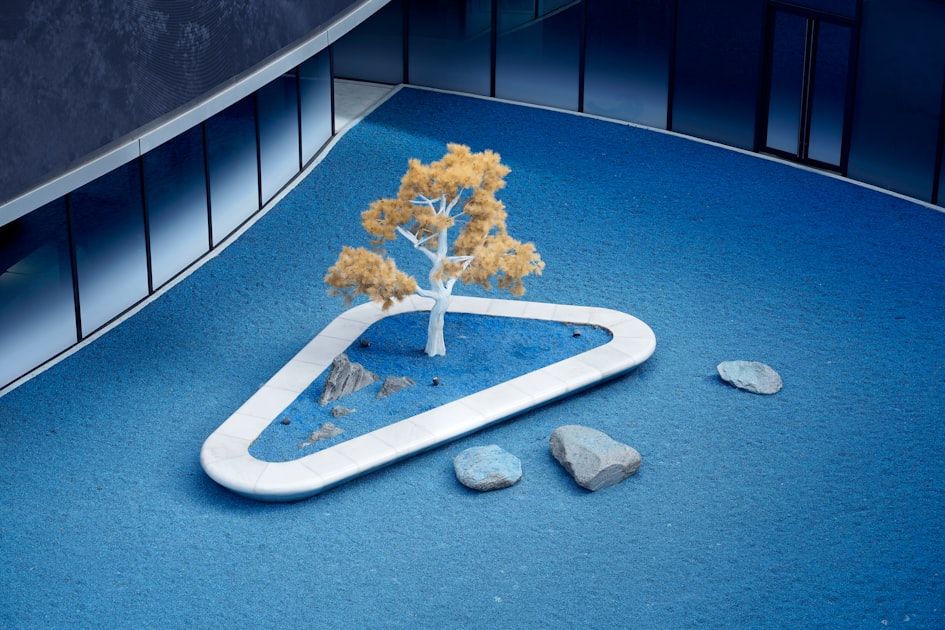 Transform Your Backyard Today